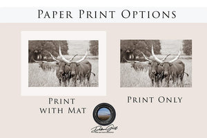 Longhorn cow wall decor canvas – rustic Western fine art print by Debra Gail Fine Art