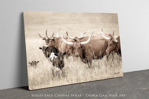 Longhorn cow wall decor canvas – rustic Western fine art print by Debra Gail Fine Art