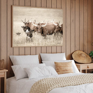 Longhorn cow wall decor canvas – rustic Western fine art print by Debra Gail Fine Art
