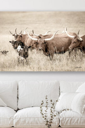 Longhorn cow wall decor canvas – rustic Western fine art print by Debra Gail Fine Art