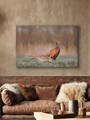Pheasant wall art – canvas framed print Kansas prairie fine art photography by Debra Gail Fine Art
