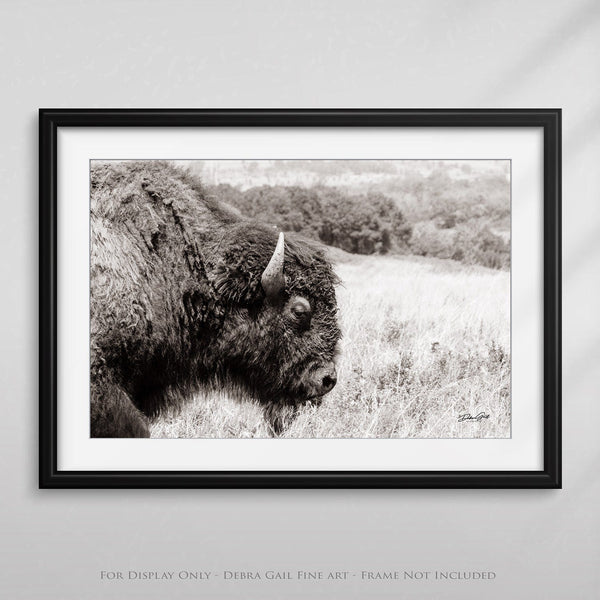 Debra Gail Fine Art MAJESTIC PLAINS BISON - WESTERN DECOR