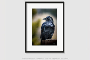 Raven wall art – predator bird wildlife fine art photography by Debra Gail Fine Art