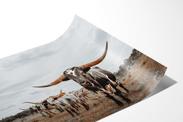 Debra Gail Fine Art Majestic Texas Longhorns - Western Ranch Decor