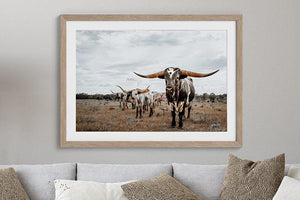 Longhorn wall decor – rustic Western fine art print by Debra Gail Fine Art