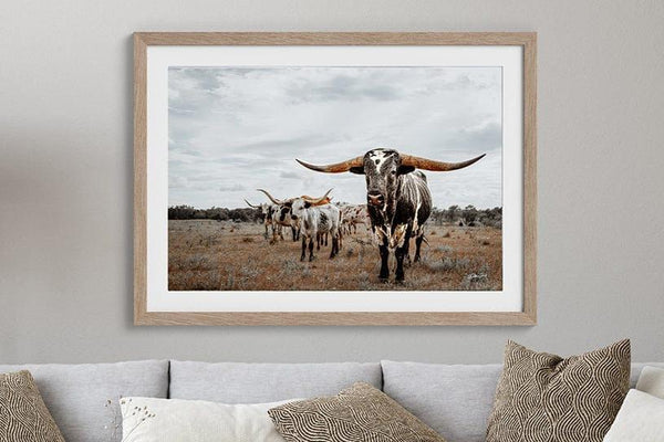 Debra Gail Fine Art Majestic Texas Longhorns - Western Ranch Decor