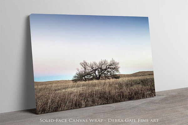 Debra Gail Fine Art Minimalist Kansas Flint Hills Tree Art Print Decor