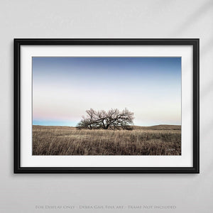 Kansas Flint Hills wall art – sunrise prairie landscape photography by Debra Gail Fine Art