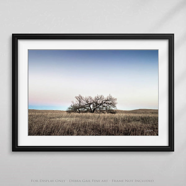 Debra Gail Fine Art Minimalist Kansas Flint Hills Tree Art Print Decor