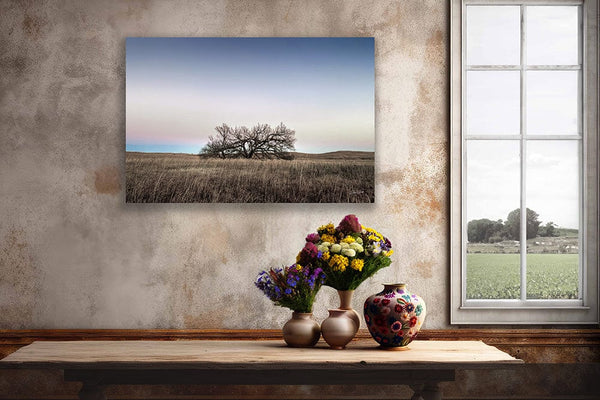 Debra Gail Fine Art Minimalist Kansas Flint Hills Tree Art Print Decor