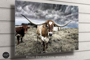 Longhorn cow wall decor canvas – rustic Western fine art print by Debra Gail Fine Art