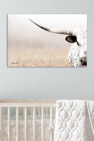Texas Longhorn wall art – Western ranch photography print by Debra Gail Fine Art