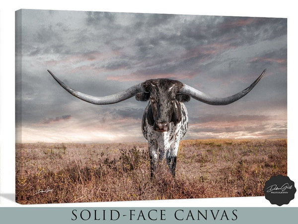 Debra Gail Fine Art Modern Longhorn Canvas Wall Art Print