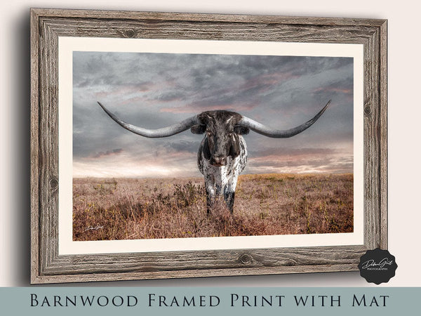 Debra Gail Fine Art Modern Longhorn Canvas Wall Art Print