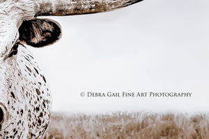 Panoramic Texas Longhorn wall art cow canvas print – wide Western ranch décor