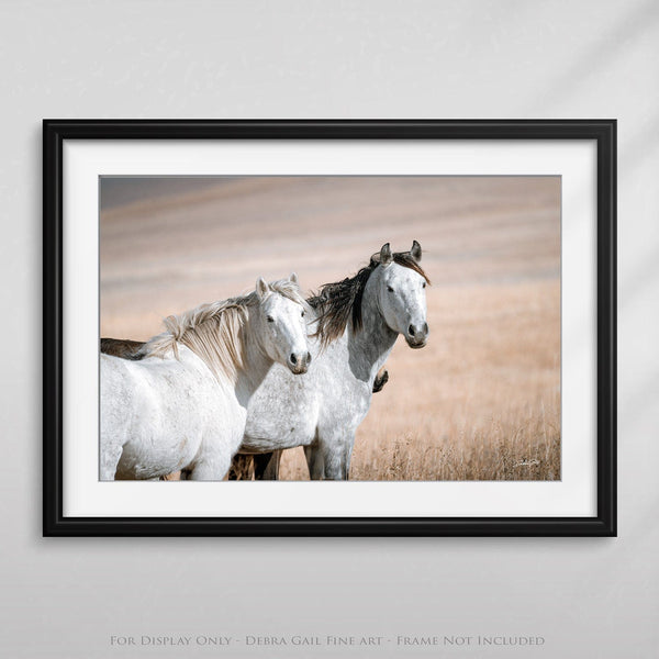 Debra Gail Fine Art MUSTANG HORSE PRINT - PERFECT FOR HORSE LOVERS