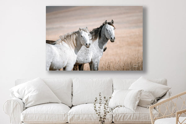 Debra Gail Fine Art MUSTANG HORSE PRINT - PERFECT FOR HORSE LOVERS