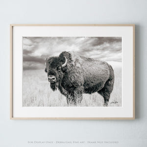 Bison wall art – rustic prairie photography print by Debra Gail Fine Art