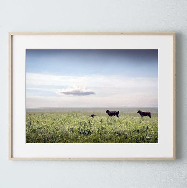 Debra Gail Fine Art Natural Wood Framed Print / 10x8 BLACK ANGUS BEAUTIES - KANSAS PHOTOGRAPHY