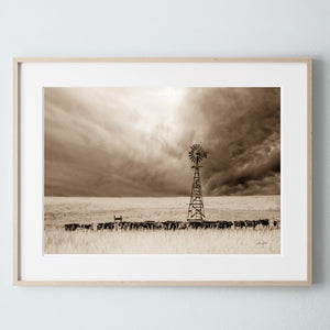Windmill wall art – Great Plains landscape photography print by Debra Gail Fine Art