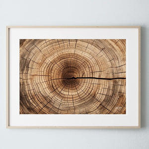 Natural tree rings wall art canvas print  – fine art photography