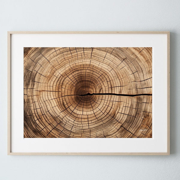 Debra Gail Fine Art Natural Wood Framed Print / 10x8 Close Up of Tree Rings - Nature Inspired Decor No. 4496