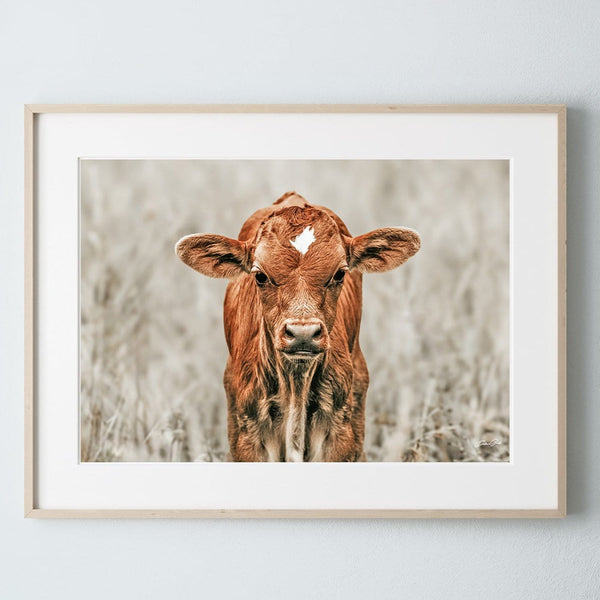 Debra Gail Fine Art Natural Wood Framed Print / 10x8 CUTE COW CANVAS PICTURE - NURSERY, KIDS, FARMHOUSE DECOR