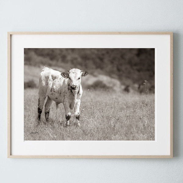 Debra Gail Fine Art Natural Wood Framed Print / 10x8 Cute Longhorn Calf Print - Farmhouse Decor