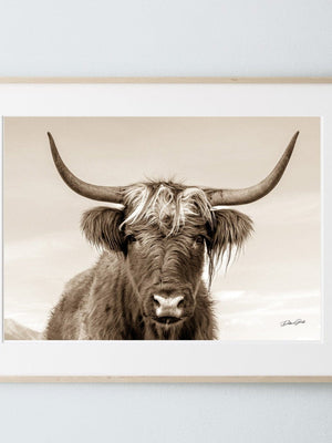 Highland cow wall art – rustic farmhouse fine art print by Debra Gail Fine Art