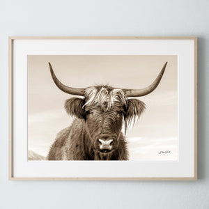Highland cow wall art – rustic farmhouse fine art print by Debra Gail Fine Art