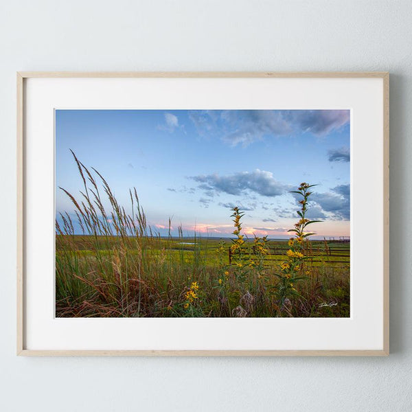 Debra Gail Fine Art Natural Wood Framed Print / 10x8 Kansas Flint Hills Wildflowers Fine Art Print - Farmhouse Decor