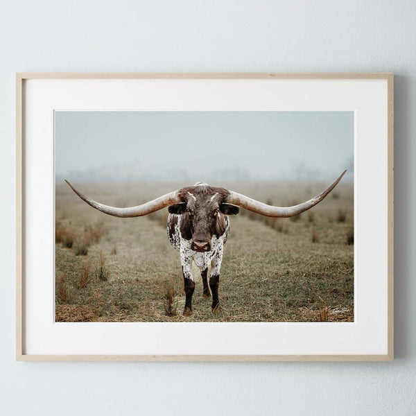 Debra Gail Fine Art Natural Wood Framed Print / 10x8 Large Longhorn Western Wall Art