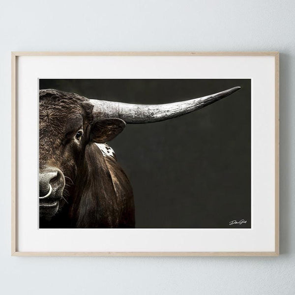 Debra Gail Fine Art Natural Wood Framed Print / 10x8 Large Western Decor Longhorn Bull Art Print