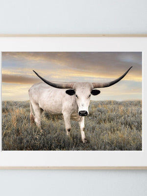 Texas Longhorn wall canvas barnwood framed Western fine art print by Debra Gail Fine Art