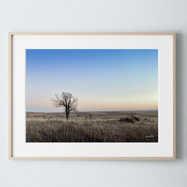 Debra Gail Fine Art Natural Wood Framed Print / 10x8 LONE TREE ON THE PRAIRIE - WILD WESTERN GOTHIC DECOR