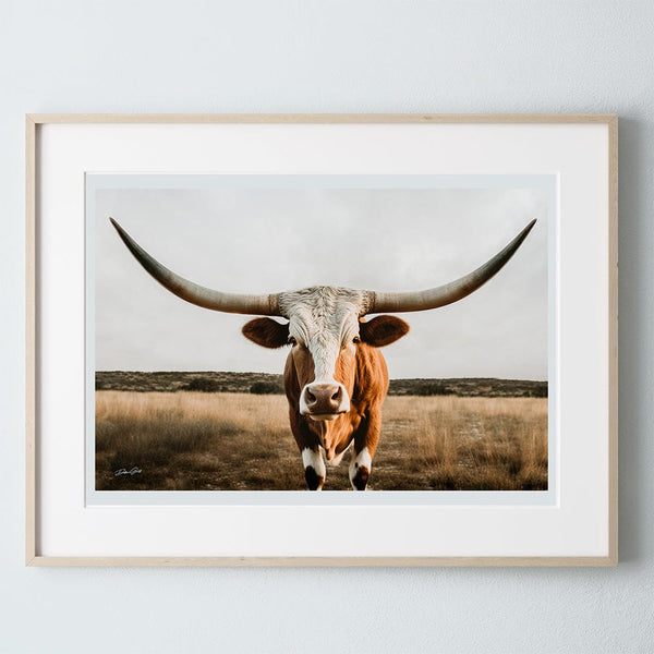 Debra Gail Fine Art Natural Wood Framed Print / 10x8 Longhorn Art Canvas Print -  Western Wall Art