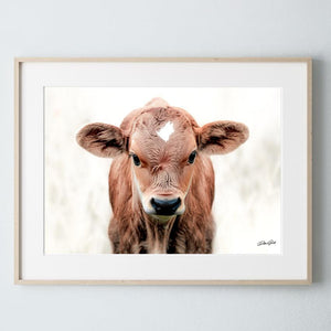 Longhorn cow calf wall at canvas – rustic Western fine art print by Debra Gail Fine Art