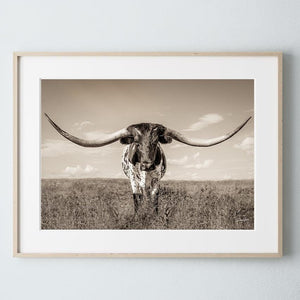 Longhorn wall canvas barnwood framed Western fine art print by Debra Gail Fine Art
