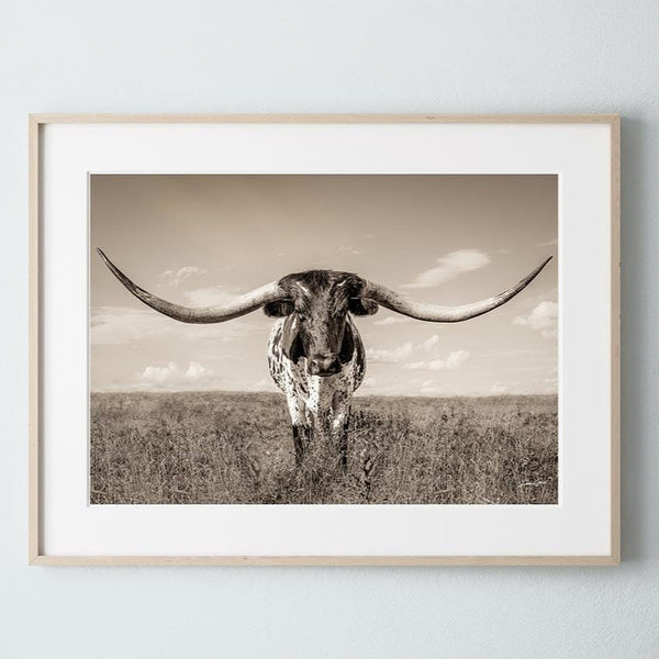 Debra Gail Fine Art Natural Wood Framed Print / 10x8 Longhorn Cow Print or Canvas by Debra Gail - Neutral Farmhouse Decor