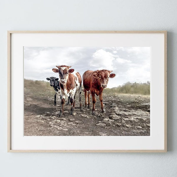 Debra Gail Fine Art Natural Wood Framed Print / 10x8 Longhorn Cow Print Picture - Cute Baby Calves