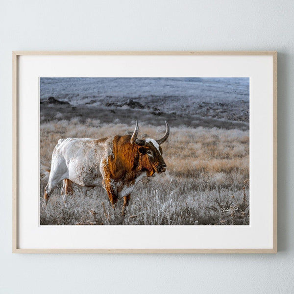 Debra Gail Fine Art Natural Wood Framed Print / 10x8 Longhorn Wall Art Canvas Print