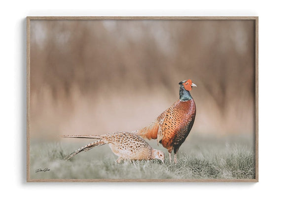 Debra Gail Fine Art Natural Wood Framed Print / 10x8 Majestic Pheasant Pair - Rustic Nature Wall Art No. 0718