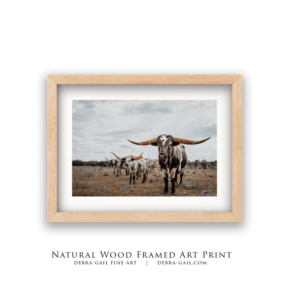 Debra Gail Fine Art Natural Wood Framed Print / 10x8 Majestic Texas Longhorns - Western Ranch Decor