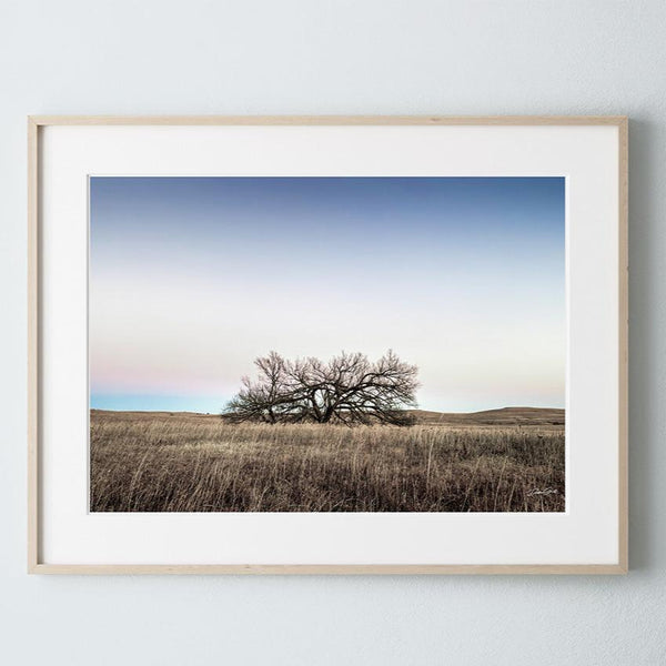 Debra Gail Fine Art Natural Wood Framed Print / 10x8 Minimalist Kansas Flint Hills Tree Art Print Decor