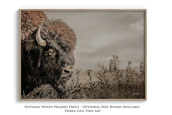 Debra Gail Fine Art Natural Wood Framed Print / 10x8 Rustic Bison Western Wall Art - Fine Art Canvas or Print No. 2185