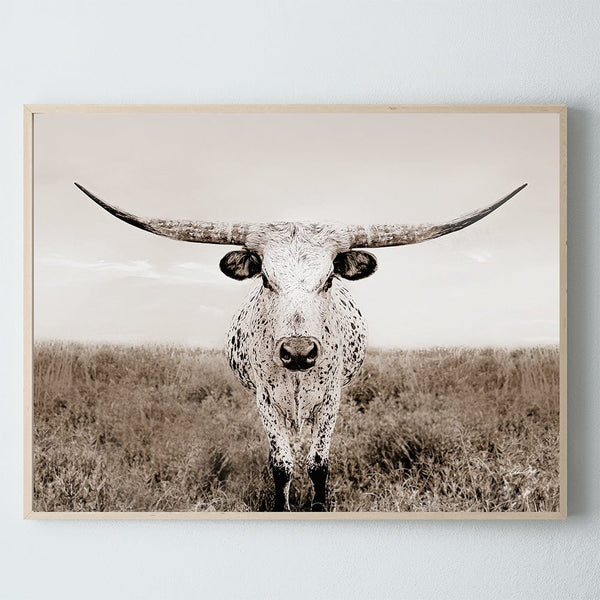 Debra Gail Fine Art Natural Wood Framed Print / 10x8 Texas Longhorn Canvas Wall Art No. 0505S