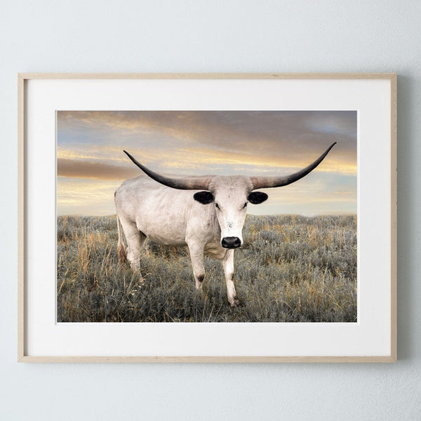 Debra Gail Fine Art Natural Wood Framed Print / 10x8 Texas Longhorn Cow Canvas Print - Farmhouse Decor