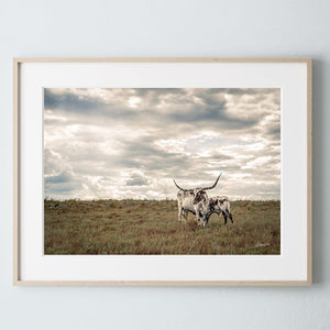 Longhorn wall decor – rustic Western fine art print by Debra Gail Fine Art