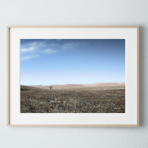 Flint Hills wall art – prairie tree landscape photography by Debra Gail Fine Art