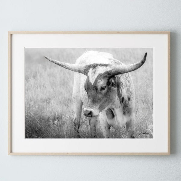 Debra Gail Fine Art Natural Wood Framed Print / 10x8 Western Home Wall Decor - Longhorn Cow Canvas